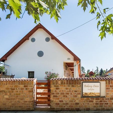 Hotel Bakony-Cinca Vendeghaz Szentgál Exteriér fotografie